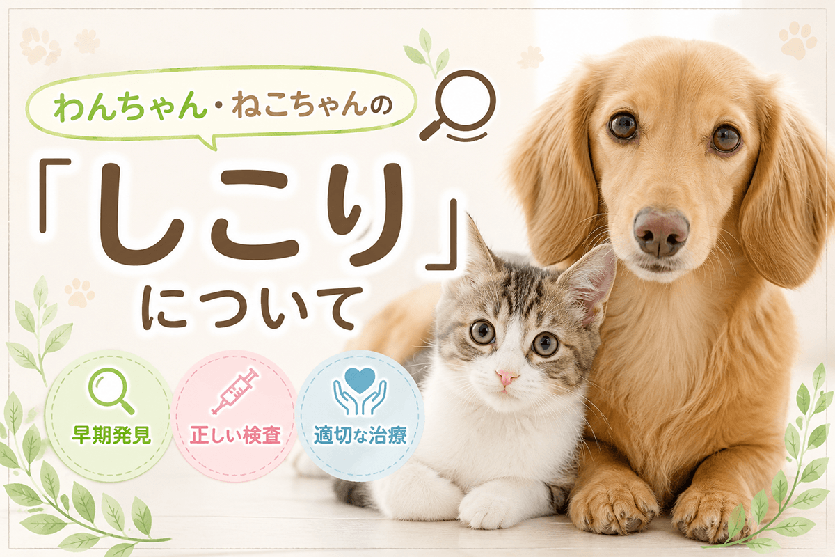動物病院守口