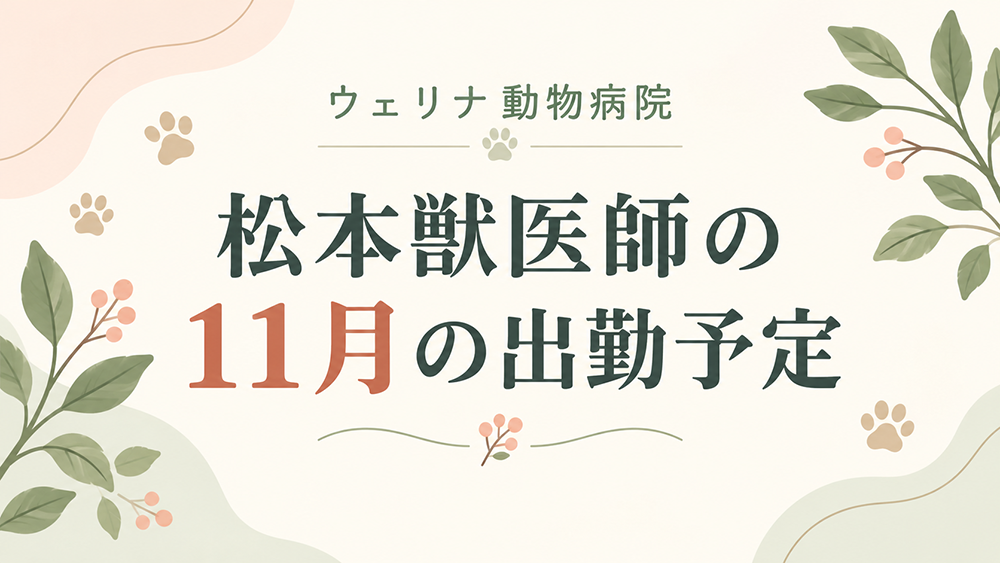 ウェリナ松本